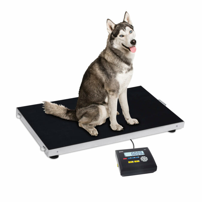 veterinary scale with anti-slippery surface suitable to weigh dogs, cats and pets